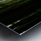 The Forest Vale Ruins Metal print