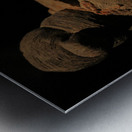 Terracotta Warrior Detail 2 Metal print