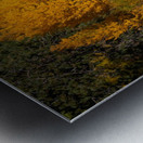 Hope Valley Aspens with Shrubs Metal print