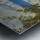 Halfway River Metal print