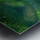 Submerged Slimey Rocks Metal print