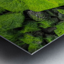 Slimey Rocks Metal print