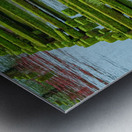 Green Rails Metal print