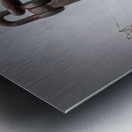 Anchors Away Metal print