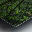 Waterfall off Columbia River Metal print