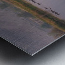 Geese Taking Off-Cool Metal print