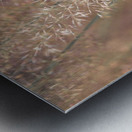 Fountain grass Metal print