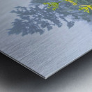 Foggy Mountaintop Metal print