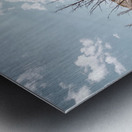 Hot springs Tree Metal print