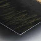 Bison River Metal print