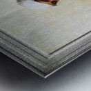 La Fidele by Emile Lecomte-Vernet Classical Fine Art Old Masters Reproduction Metal print