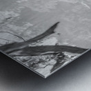 Stag in a field Metal print