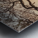 Branches at sunset Metal print