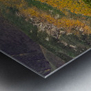 Golden Valley Metal print