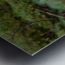 Close Encounter Metal print