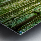 Straight and True Metal print