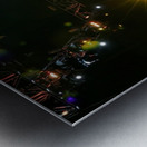 Chickenfoot Metal print