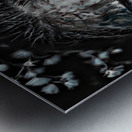 Wome in Black Metal print