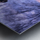 Asia Wome Metal print