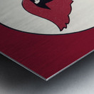 1982 Cardinals Football Helmet Art Metal print