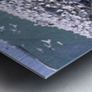 1st among equals Metal print