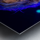 Billy Sherwood Metal print