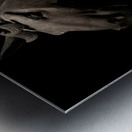 Terracotta Horse Metal print