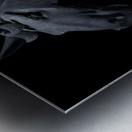 Terracotta Horse B&W Metal print