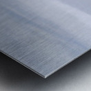 out of the fog Metal print