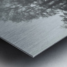 Birds in UK Metal print