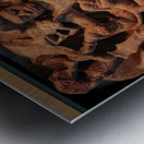 Monkey Attack Metal print