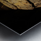 Warrior Headgear Metal print