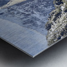 Yosemite Metal print
