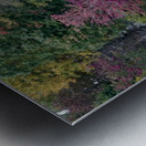 Butler Pond Metal print