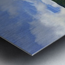 ice pans Metal print