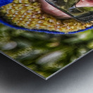 woman looking up Metal print