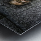 renaissance man Metal print