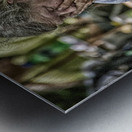 crying woman Metal print