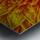 pumpkin yellow Metal print