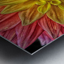 carnival Metal print