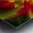 victorian lady Metal print