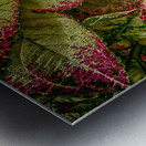 color leaves 2 Metal print
