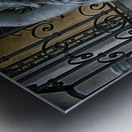 venus Metal print