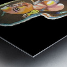 IMG_0121 Metal print