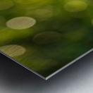 ESA Letter Metal print