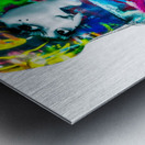 SUZANNE  Metal print