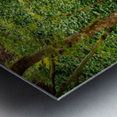 Japanese Garden Portland 10 Metal print