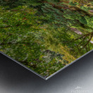 Japanese Garden Portland 9 Metal print