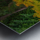 Japanese Garden Portland 8 Metal print