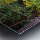 Japanese Garden Portland 6 Metal print